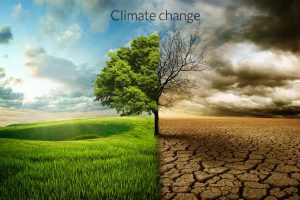 Changement climatique