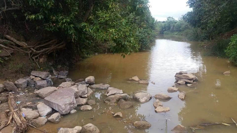 La DREDD ANALAMANGA et L’ONE ont constaté la pollution de la rivière à Antsampandrano Ilafy