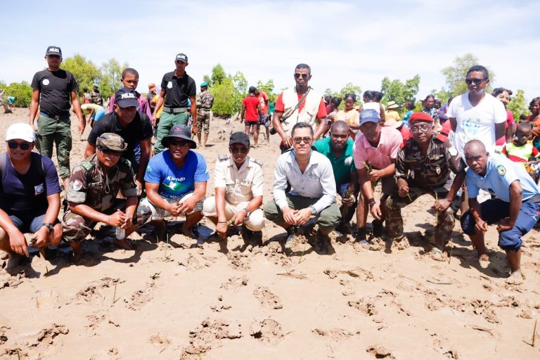 Kivalo-Morondava : la journée de la vie sauvage marquée par la plantation des mangroves par drone
