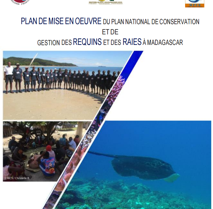 PLAN DE MISE EN OEUVRE DU PLAN NATIONAL DE CONSERVATION ET DE GESTION DES REQUINS ET DES RAIES À MADAGASCAR