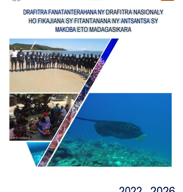 DRAFITRA FANATANTERAHANA NY DRAFITRA NASIONALY HO FIKAJIANA SY FITANTANANA NY ANTSANTSA SY MAKOBA ETO MADAGASIKARA