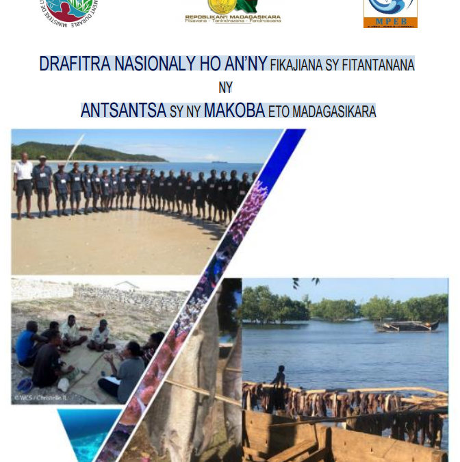 DRAFITRA NASIONALY HO AN’NY FIKAJIANA SY FITANTANANA NY ANTSANTSA SY NY MAKOBA ETO MADAGASIKARA