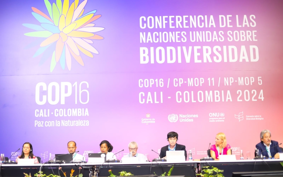 Madagascar Présente sa Vision pour la Synergie entre Actions Climatiques et Biodiversité à Cali