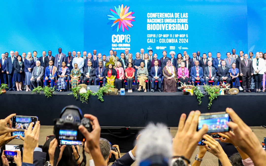 🍄Cali, Colombie – La 16ème Conférence des Parties sur la biodiversité