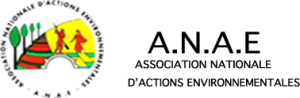 logo ANAE