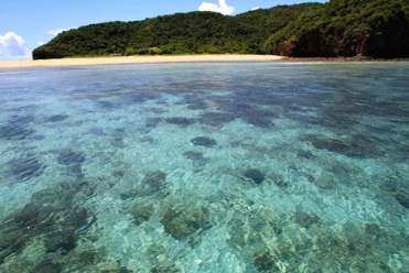 ANKAREA