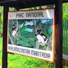 Parcs Nationaux d’Analamazaotra et de Mantadia