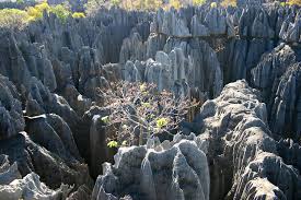 Parc National du Tsingy de Bemaraha