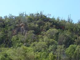 VOHIDAVA BETSIMALAHO COMPLEXE