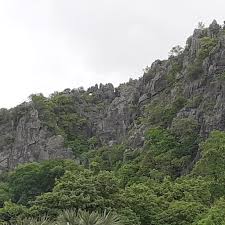KOBABY  » Projet de renforcement des aires protégées et de développement local dans la région de DIANA »,(deux ans de prolongation après avenant)