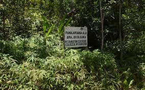 ANALALAVA