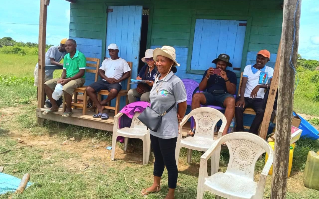 Fananganana ‘Point de Collecte’ ho an’ny Fitehirizana ny Vokatra Jono ao Tanambao Port, amin’ny Tetikasa Fampandrosoana Maharitra ny Jono ataon’ny Ministeran’ny Tontolo Iainana sy ny Fandrosoana Lovainjafy (MEDD)