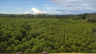 Ankazomborona : Quand l’écotourisme rime avec développement durable