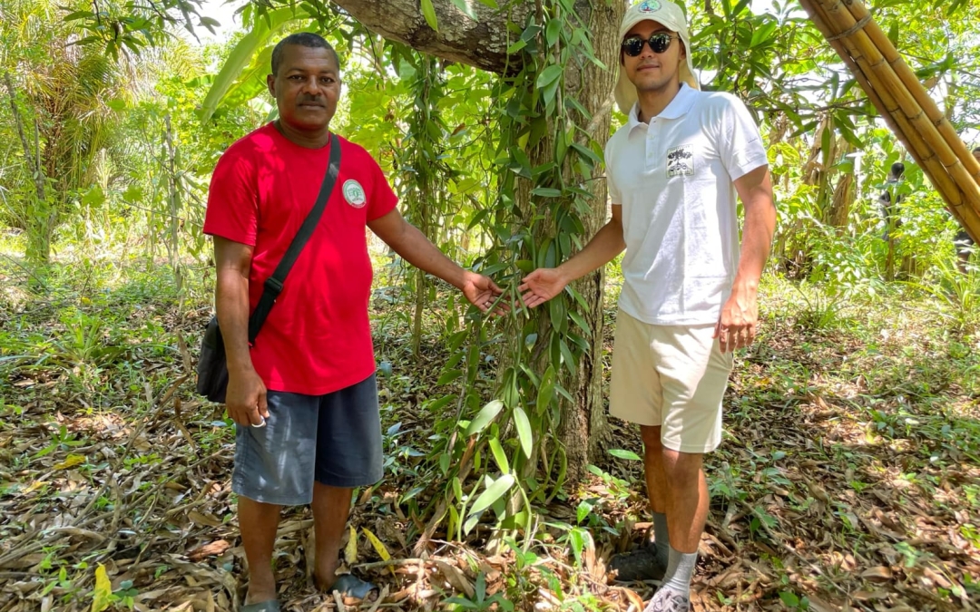 Le Ministre de l’Environnement visite la Forêt Communale de Maherivaratra et soutient des solutions durables face aux défis climatiques