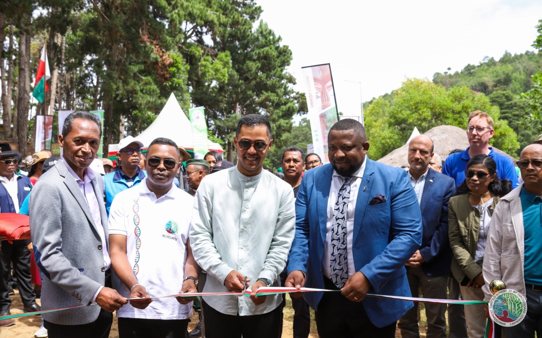 🌳🌱𝟮𝟭 𝗺𝗮𝗿𝘁𝘀𝗮 : 𝗔𝗻𝗱𝗿𝗼 𝗶𝗿𝗮𝗶𝘀𝗮𝗺-𝗽𝗶𝗿𝗲𝗻𝗲𝗻𝗮 𝗵𝗼 𝗮𝗻’𝗻𝘆 𝗮𝗹𝗮🌳 🌿“𝗔𝗹𝗮, 𝗮𝗻𝘁𝗼𝗸𝘆 𝗻𝘆 𝗔𝗶𝗻𝗮 𝘀𝘆 𝗻𝘆 𝗦𝗮𝗸𝗮𝗳𝗼