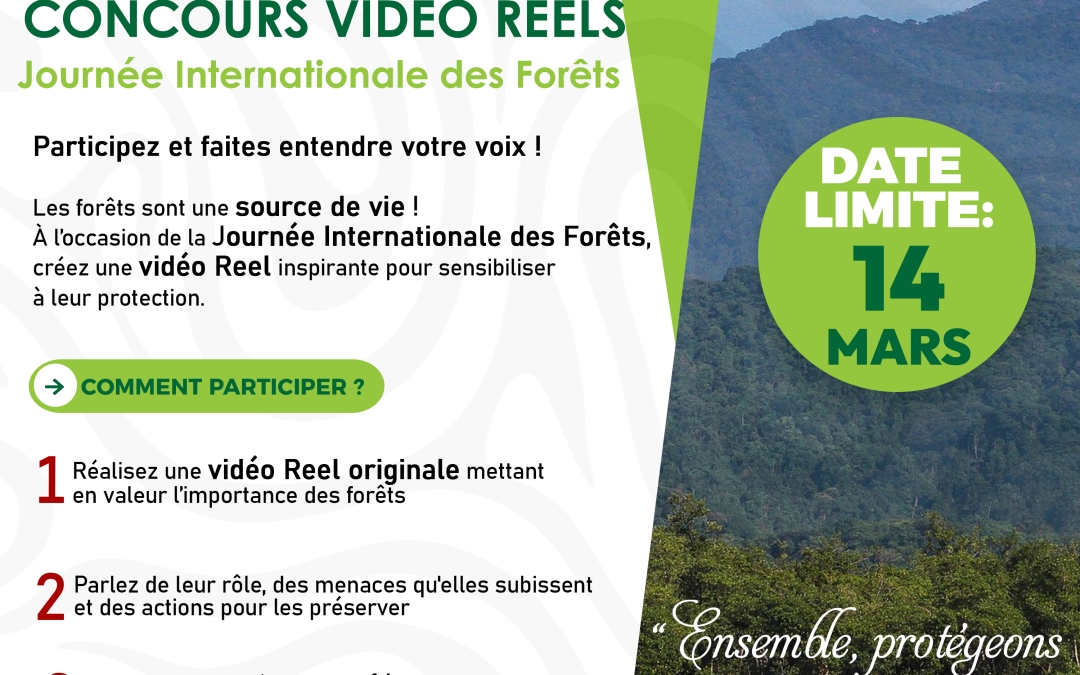 Concours Vidéo Reels