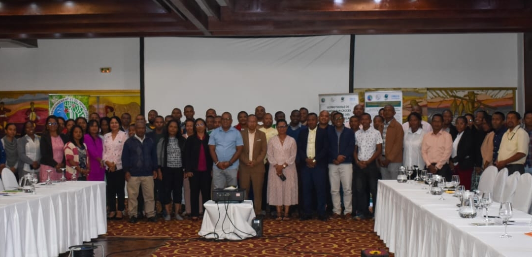Fampiofanana ho an’ny Fitantanana ny Haren’ny Voajanahary: Fampiroboroboana ny « Accès et Partage des Avantages (APA) » amin’ny Fitrandrahana Haren’ny Foto-tarazo ao Madagasikara 🌿🌱