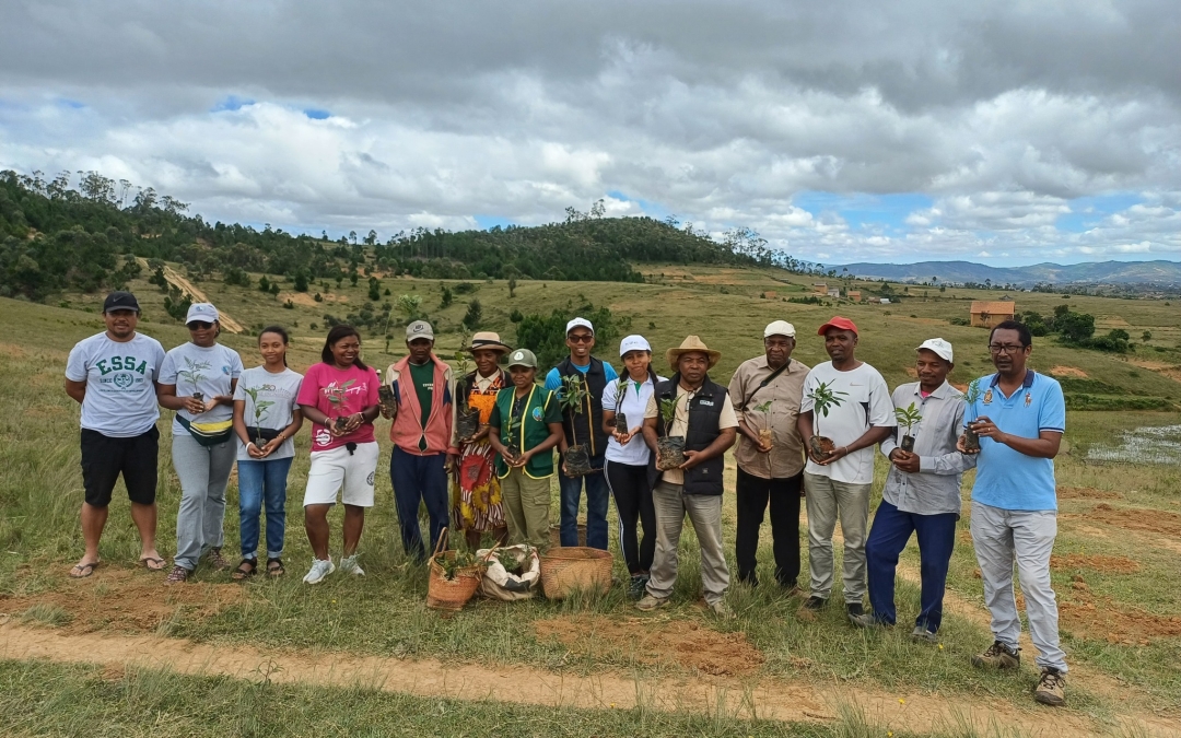 🌱 Campagne de reboisement à Androimainty : 8000 plants mis en terre dans le cadre du projet TEFIALA pour la restauration durable des paysages à Matsiatra Ambony