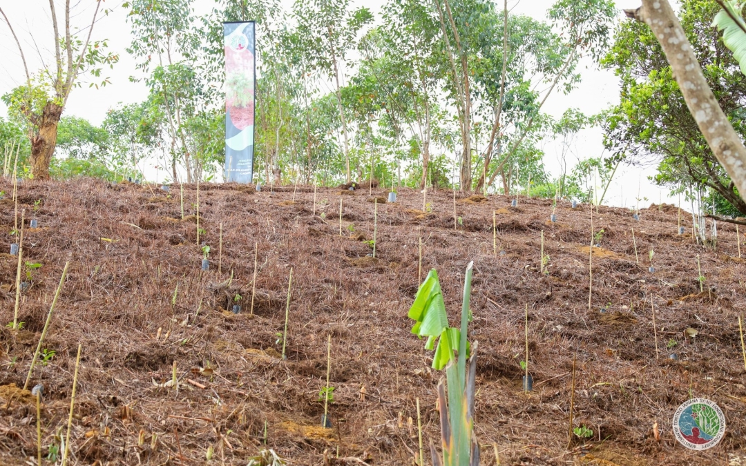 🌱𝟵 𝗺𝗮𝘆 𝟮𝟬𝟮𝟱 : 𝗙𝗮𝗻𝗼𝗺𝗯𝗼𝗵𝗮𝗻𝗮 𝗼𝗳𝗶𝘀𝗶𝗮𝗹𝘆 𝗻𝘆 𝗳𝗶𝗸𝗼𝗹𝗼𝗸𝗼𝗹𝗼𝗮𝗻𝗮 𝘀𝘆 𝗳𝗮𝗻𝗮𝗿𝗮𝗵𝗮-𝗺𝗮𝘀𝗼 𝗻𝘆 𝗵𝗮𝘇𝗼 𝗻𝗼𝘃𝗼𝗹𝗲𝗻𝗮.🌱