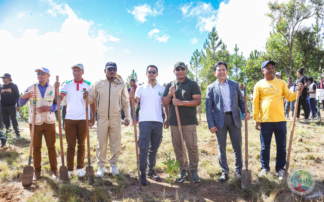 🌳 « 𝗡𝘆 𝗮𝗹𝗮 𝘃𝗲𝗹𝗼𝗻𝗮 𝗻𝗼 𝗮𝗻𝘁𝗼𝗸𝘆 𝗻𝘆 𝗮𝗻𝗸𝗲𝗵𝗶𝘁𝗿𝗶𝗻𝘆 𝘀𝘆 𝗻𝘆 𝗵𝗼𝗮𝘃𝘆 » 🌳