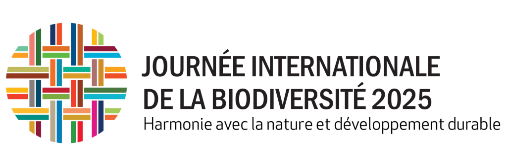 Logo MEDD JIB 2025
