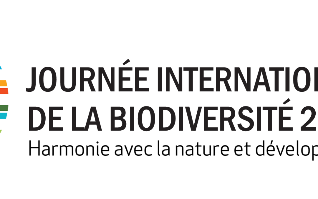 Journée Internationale de la Biodiversité