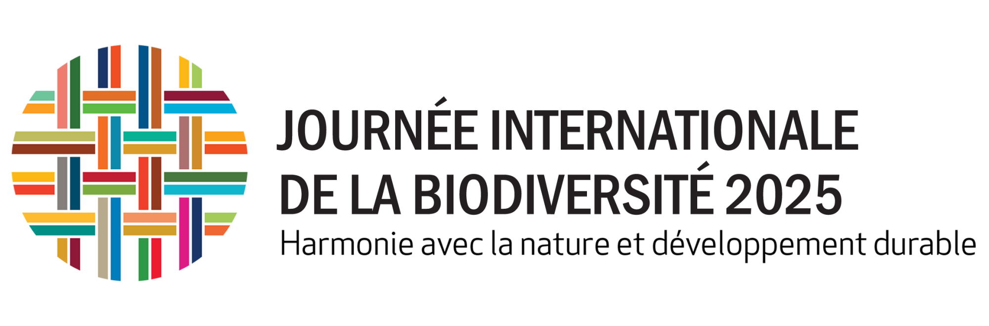 Logo MEDD JIB 2025