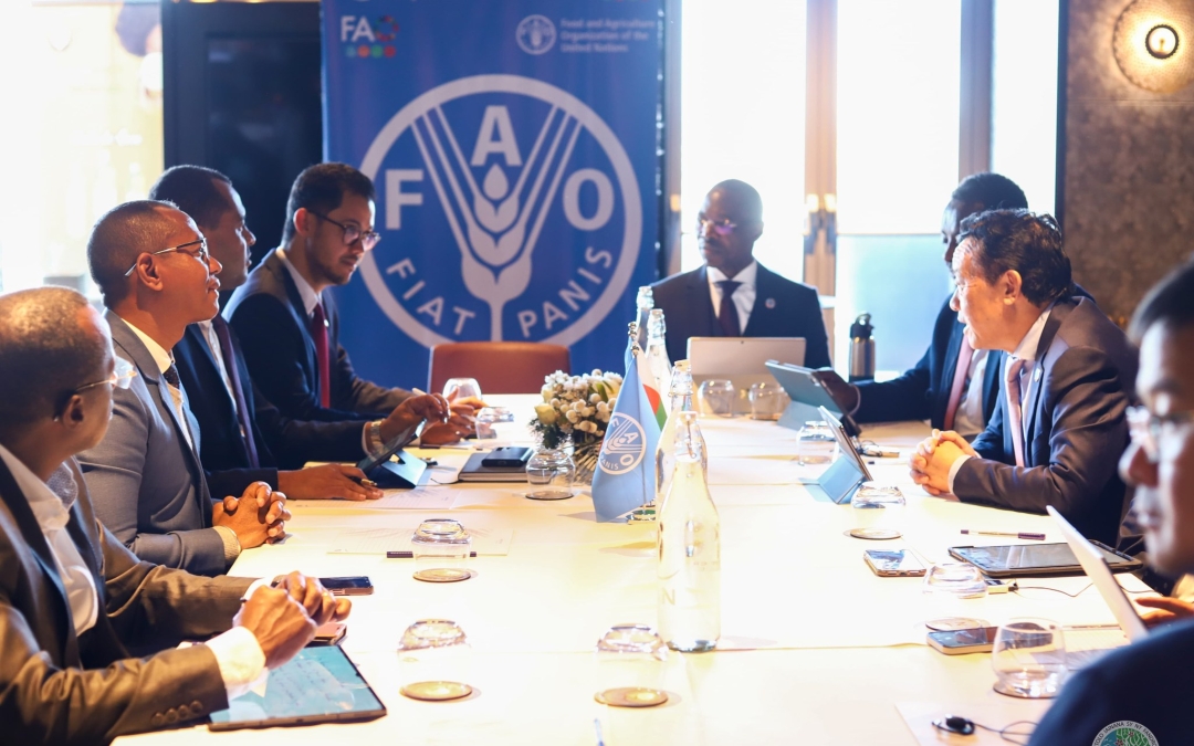 𝗟𝗮 𝗙𝗔𝗢 𝗿𝗲𝗻𝗳𝗼𝗿𝗰𝗲 𝘀𝗮 𝗰𝗼𝗼𝗽𝗲́𝗿𝗮𝘁𝗶𝗼𝗻 𝗮𝘃𝗲𝗰 𝗠𝗮𝗱𝗮𝗴𝗮𝘀𝗰𝗮𝗿 𝗽𝗼𝘂𝗿 𝗹’𝗲𝗻𝘃𝗶𝗿𝗼𝗻𝗻𝗲𝗺𝗲𝗻𝘁