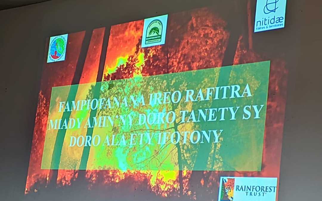 🌱🔥 Fampiofanana KMDT hanamafisana ny ady amin’ny afo tao Bevoay sy Ranomafana – Tolagnaro, Faritra Anôsy